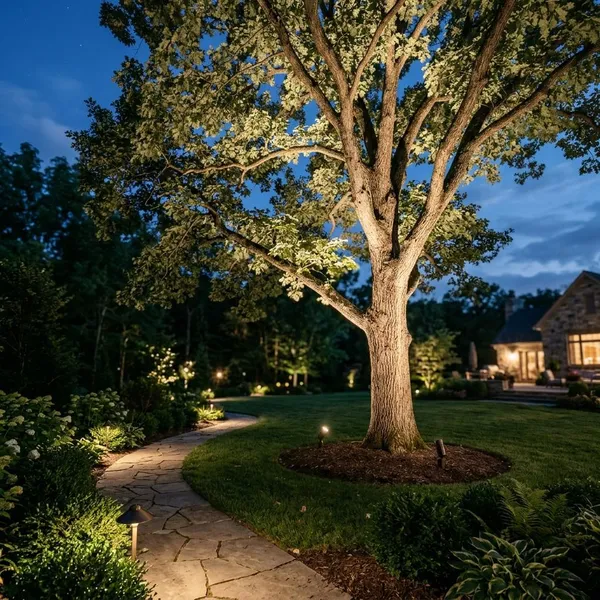 Which Light Works for Each Tree Type